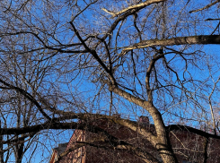 Ну очень привлекательная погода ждет воронежцев на выходных  