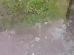 Мощный град навалил в Воронежской области