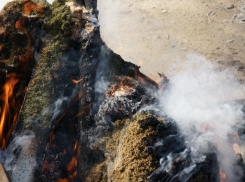 Воронежские наркополицейские уничтожили в огне «вещдоки»