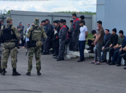 Миллионы рублей потратят на билеты в один конец для воронежских нелегалов 