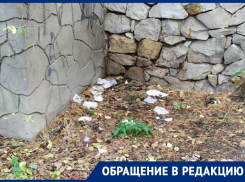 Бутылками из-под водки забросали воронежцы городской парк 