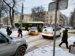 «Это диверсия»: перевозчики намеренно не выпускали автобусы во время снегопада в Воронеже