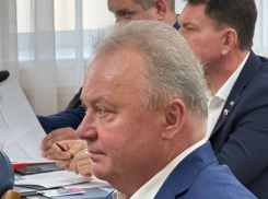 Политолог высказался о выборе нового вице-спикера Воргордумы