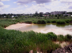 В воронежское водохранилище поступают сотни тонн токсичных веществ