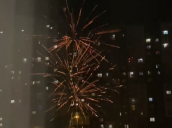 Залпы салюта под окнами ЖК испугали воронежцев 