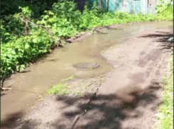 Зловонный ручей впадает в Воронежское водохранилище