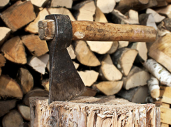 Мэрия Воронежа оштрафует «Выбор» за яблони, убитые сверх плана