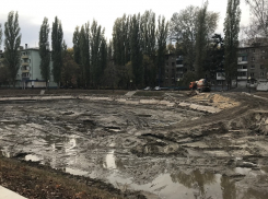 Лебединое озеро превратили в гадкого утенка в Воронеже