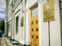 Воронежские власти решили наполнять городской бюджет за счет ярмарок