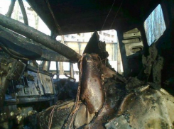 В Воронежской области загорелся грузовик