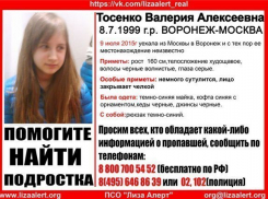 Без вести пропала 16-летняя девушка, ехавшая из Москвы в Воронеж  