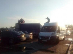 Почему воронежцев считают жлобами, наглядно показали на снимках 