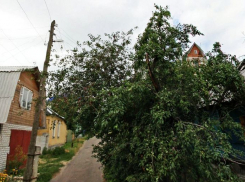 В центре Воронежа люди живут на улице имени несуществующего человека
