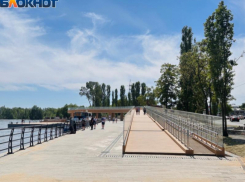 Подрядчика для автополива Петровской набережной ищут за 653 тыс рублей в Воронеже