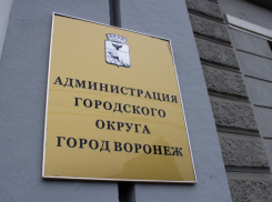 Воронежские власти выделят 21 млрд рублей на муниципальные программы