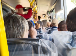 “Где автобусы”: почему утреннее ожидание затянулось, рассказали в воронежской мэрии