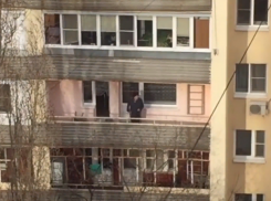 Лучшее место для прогулок во время коронавируса показали воронежцам 