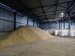 В Воронежской области строится мини-элеватор на 12, 5 тысяч тонн зерна (ФОТО)