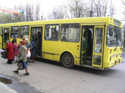 В Воронеже с апреля откроются сезонные автобусные маршруты