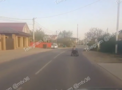 Поведение юных гонщиков потрясло жителей Воронежа