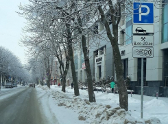 Улицы Воронежа частично освободят от платных парковок