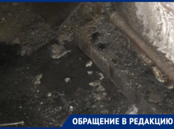 На воронежские «фекальные» подвалы начали жаловаться в Генпрокуратуру РФ