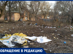 Двор-помойка с крысами держит воронежцев в заложниках 