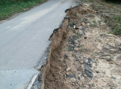 Воронежецы пожаловались на состояние Центрального парка спустя два месяца после потопа