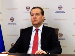 Дмитрий Медведев назвал шавками датских пивоваров, потерявших завод в Воронеже