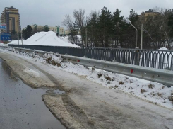 Воронежцы назвали «пришедшим в негодность» мост на Крестах