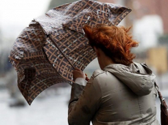 Спасатели предупредили воронежцев об опасном усилении ветра