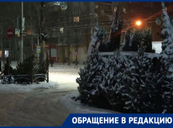 Шок от воронежских цен на елки испытала студентка из Липецка 