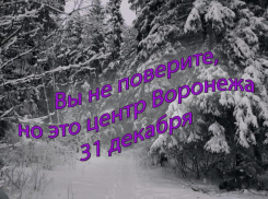 О 30-градусных новогодних морозах в Воронеже заочно поспорили частные и государственные синоптики 