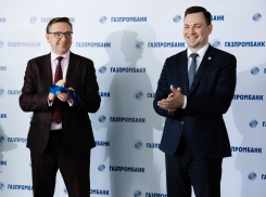 Защиту инвестпроектов от непредусмотренных расходов во всему ЦФО  осуществят в Воронеже 