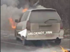 Объятый огнем автомобиль заметили на обочине в Воронеже