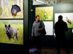 Воронежцев пригласили на выставку уникальных фотографий дикой природы