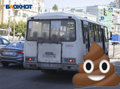 Тысяча человек поставила общественному транспорту Воронежа оценку и три десятка какашек