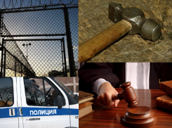 В Воронеже 75-летняя свекровь ударила молотком невестку