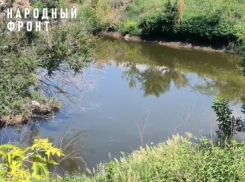 Смрадное соседство воронежцев дошло до прокуратуры и чиновников 