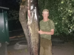 Двухметровое «чудище» выловили из воронежской реки