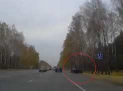 В Воронеже машина врезалась в дерево из-за неудачного маневра  