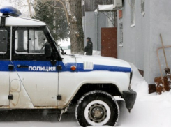 В Воронежской области украли икону из музея и спрятали в стоге сена