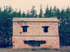 Улыбающийся сельский дом привел в трепет пользователей Сети 