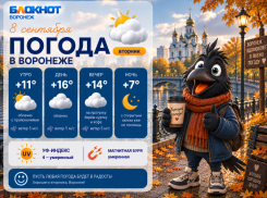 Борьба осени и лета: прогноз погоды в Воронеже