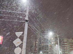 Без света остались жители шести районов Воронежской области из-за сильной метели