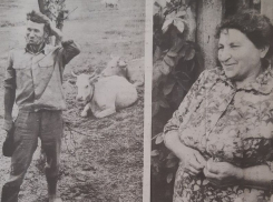 Секрет благополучия крестьян в «лихие 90-е» выясняла воронежская пресса