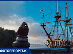 «Ворон и ёж» уже радует горожан в Воронеже