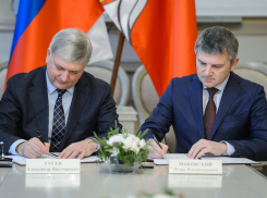 Чиновники придумали, как избавить Воронежскую область от энергодефицита