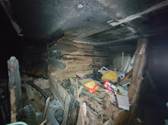 Нечистоты, грызуны и вонь: антисанитария во временном укрытии добралась до воронежского министерства