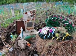 Стало известно, когда на воронежских кладбищах наведут порядок